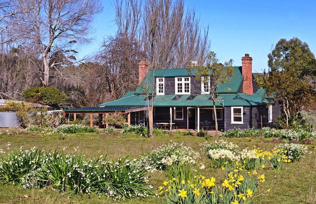 Ventnor Guest House - Photo 1