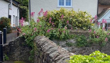 Little House - Photo 2