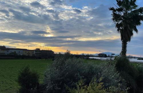 La Casa di Pedro - Foto 52