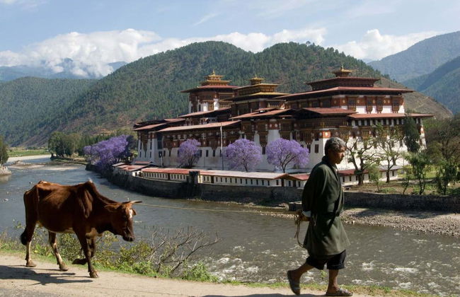 Bhutan 6 Day Private Tour - Photo 9
