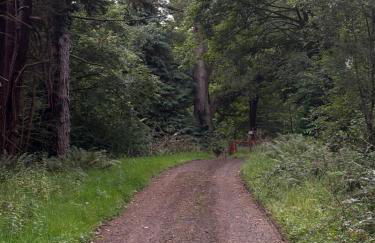 Half Pint Cottage - Foto 27