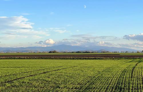 Apartament Pod Orzechem - Foto 77