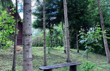 Domki pod Skałką - Foto 40