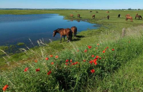 Bungalow auf der Insel Poel for 2 Personen - Foto 25