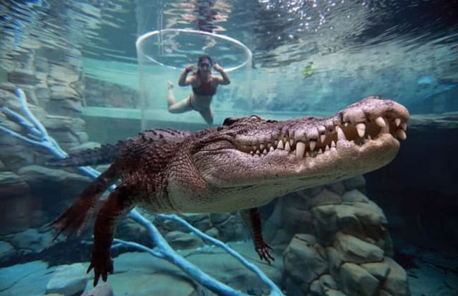 Benji Zen Retreat Unique Wavepool Adults Only - Foto 27