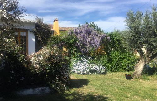 Monte Emitaj - Foto 14