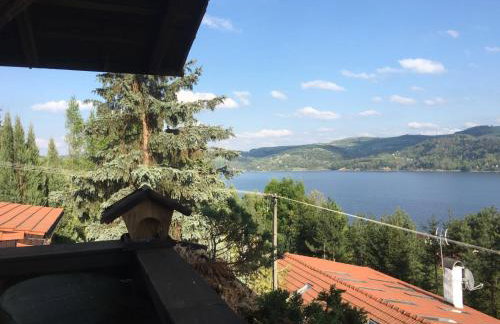 Farma Zdrowia - Foto 42