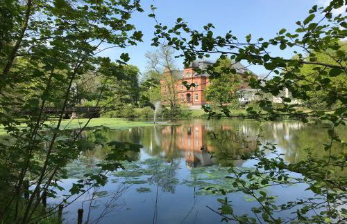 Strandläufer - Foto 35