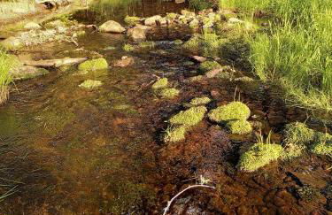 Ferienhaus Schellerhäusl - Foto 32