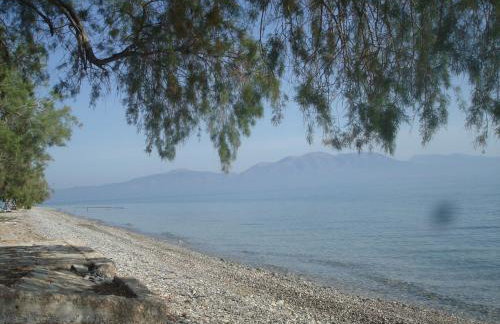 Σοφίτα Μαρτά - Foto 48