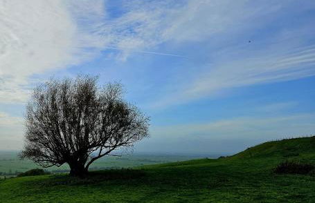 Piglets Place - Photo 41