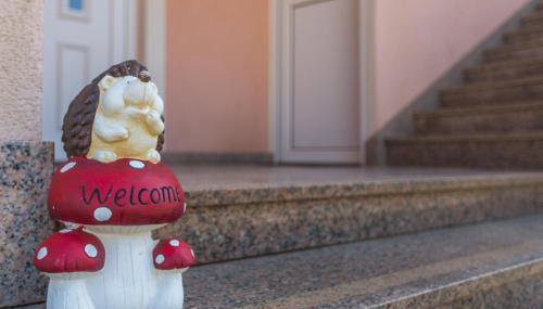 App Ružica Finida - Foto 4