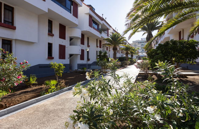 Comfy Altemar - Foto 29