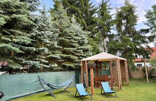 Butelkowa Zieleń - Foto 7