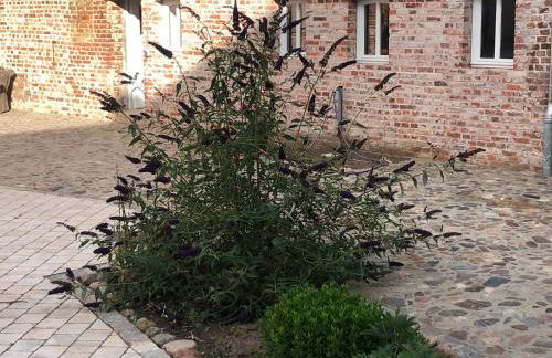 Else‘s Hof - Wohnung Else - Foto 17