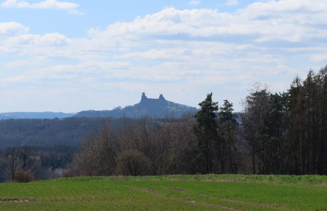 Křečovice - Photo 42