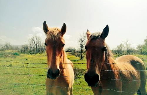 Casa Rural el Pajar de Tenzuela - Foto 36