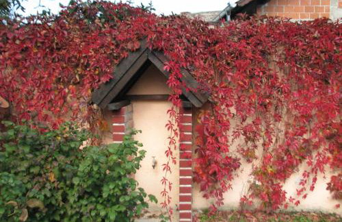 Seoski Turiziam Larva - Photo 10