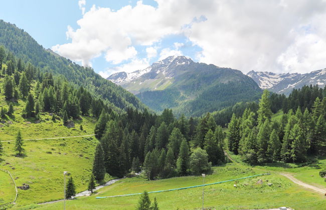 Rosablanche B21 - Photo 13