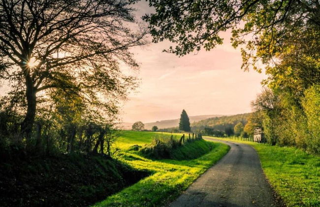 Bungalow by Lake Rabais in Virton - Foto 24