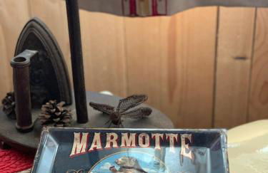 Aux trois marmottes - Chalet au pied des pistes - Foto 18