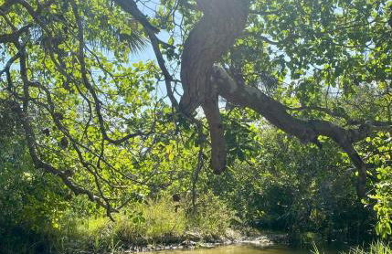 Sítio Encanto do Delta - Photo 5