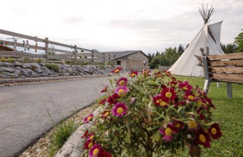 Ranchhouse Smoker- Westernstable - Horse - Foto 25