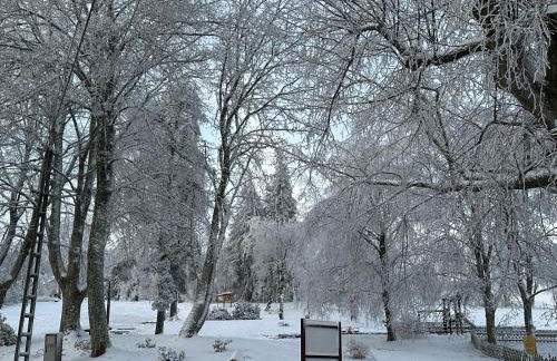 Berghaus zum Hirsch - Foto 45