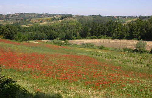 Agriturismo I Moricci - Foto 23