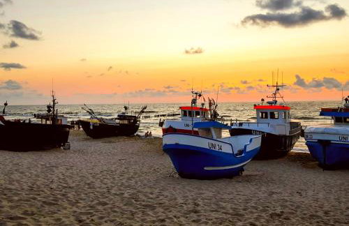 Domki Kaktus - Foto 51