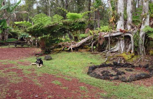 Ixchel Hawaii Volcano - Foto 19