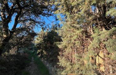 Cabaña ecologica del lago - Photo 75