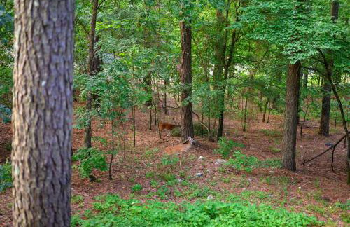 Romantic 1BR Cabin in Broken Bow HotTub, FirePit - Foto 48