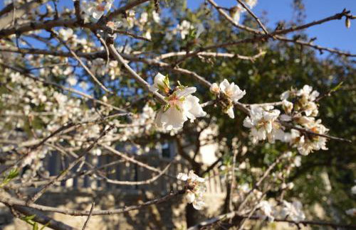 Robinson house Orlandusa - Foto 13