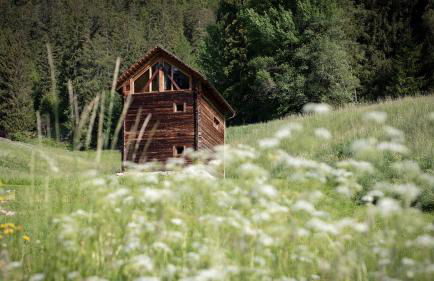 Burgfrieder Mühle - Photo 41