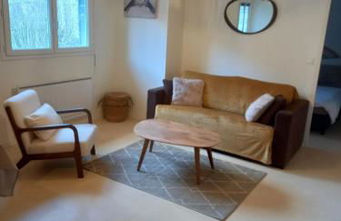 appartement centre ville de Laruns 2 ou 3 personnes - Foto 1