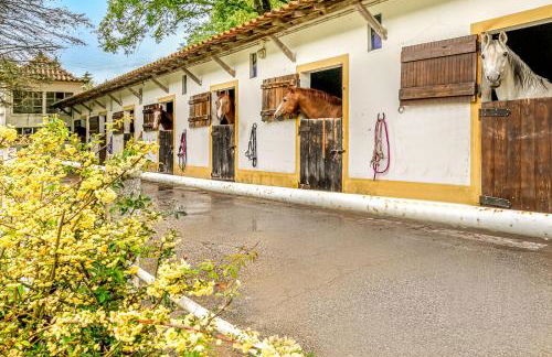 Quinta do Boição - Foto 21