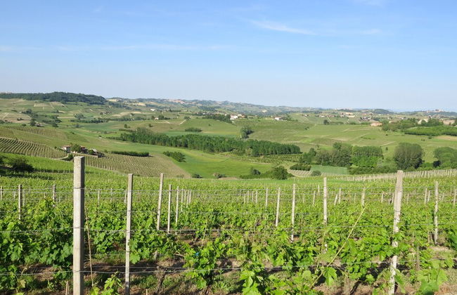 Cà Rapulin - Agriturismo - Foto 80