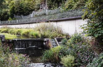 Talblick 5, mit Sauna und wunderschönen Panoramablick NEU - Foto 68