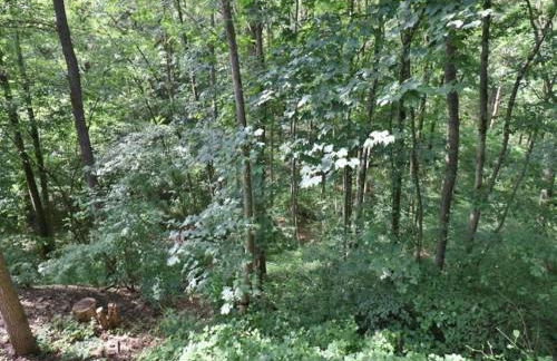 Villa in Provence with Pool and Garden - Foto 34