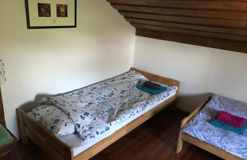 Agroturystyka przy Pracowni Malarstwa i Rzeźby - Foto 24