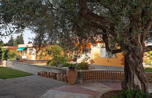 Bungalows Pascual - Foto 23