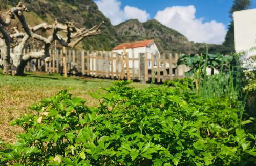 Alo Baía São Lourenço - Foto 31