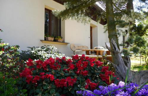 Fewo Lutterow - Foto 6