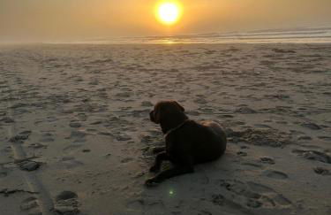 Chalet K94 - Sunset View - Foto 36