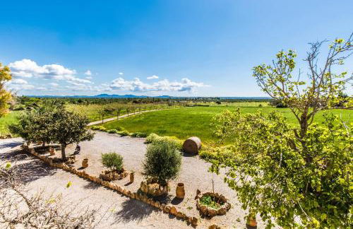 Finca Agroturismo Sa Cova den Borino - Foto 22