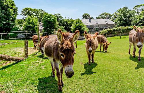 2 Bed in Callington oc-tyler - Foto 16