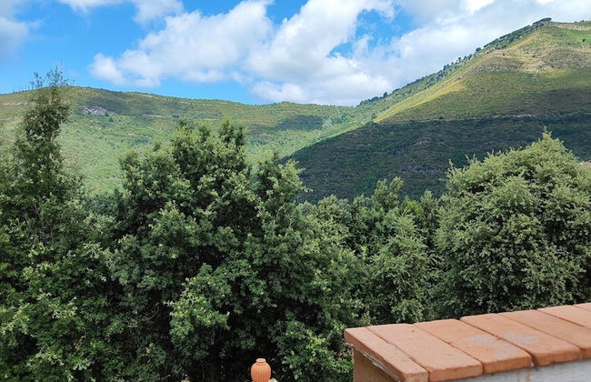 Serramezzana - Photo 28