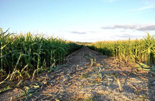 Ferienhaus Woddow Uckermark - Foto 14