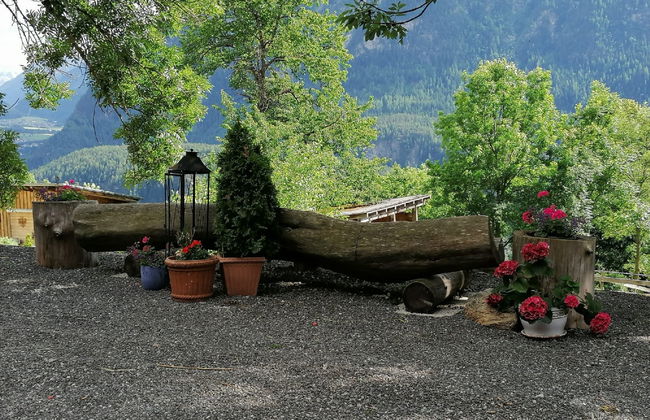 Ferienwohnung Plattner - Foto 58